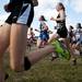 A group of runners compete in the MHSAA Division Two race on Saturday. Daniel Brenner I AnnArbor.com